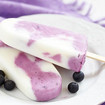 Heidelbeer-Joghurt Eis