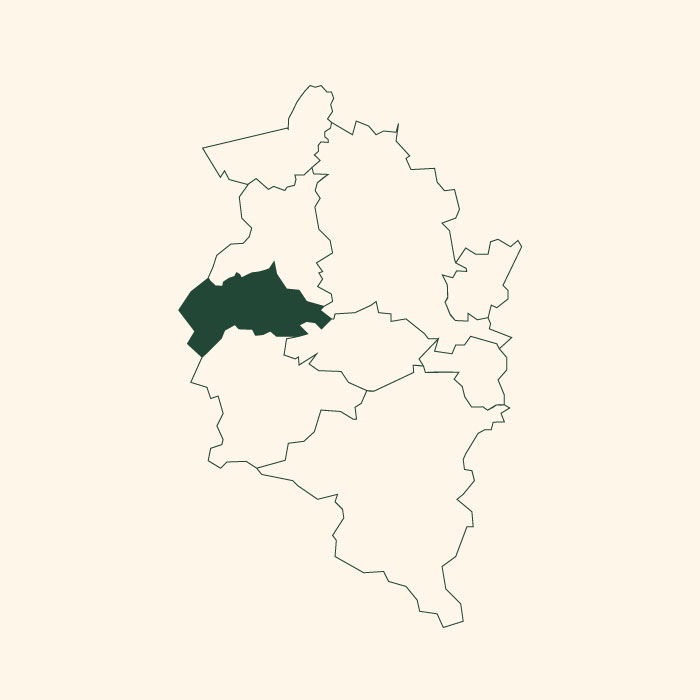 Eine vereinfachte Karte zeigt ein geografisches Gebiet, das in dunklem Grün hervorgehoben ist, um es von den umgebenden, in hellen Konturen dargestellten Gebieten abzugrenzen.