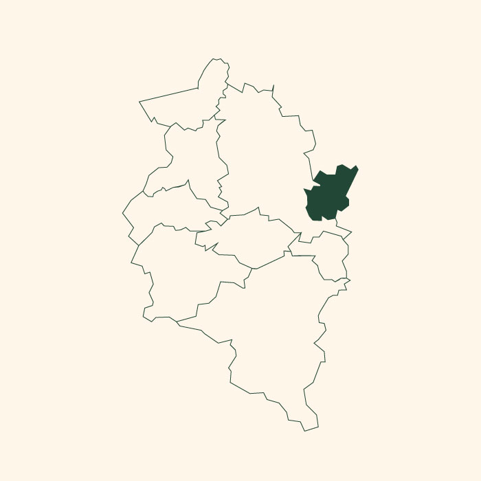 Eine einfache Karte zeigt mehrere Regionen, wobei eine Region im Osten dunkelgrün hervorgehoben ist. Die anderen Regionen sind nur umreißt und ohne Füllung. Der Hintergrund ist hellbeige.