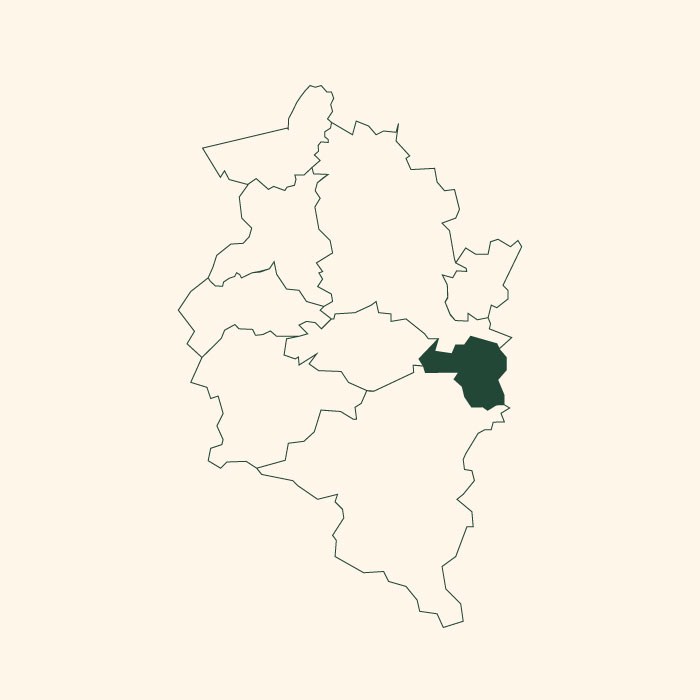 Eine grafische Darstellung einer Karte, die mehrere territoriale Umrisse zeigt. Der südöstliche Bereich ist in dunkelgrün hervorgehoben, während die übrigen Regionen nur in Umrissform dargestellt sind. Der Hintergrund ist beige.