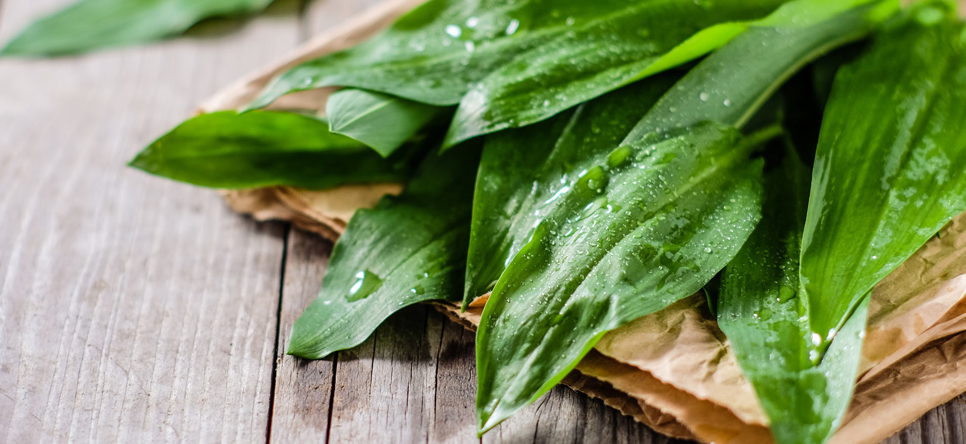 Frische Bärlauchblätter liegen auf braunem Papier. Einige Blätter sind mit Wassertropfen bedeckt, was auf ihre Frische hinweist. Der Hintergrund zeigt eine rustikale Holzoberfläche.