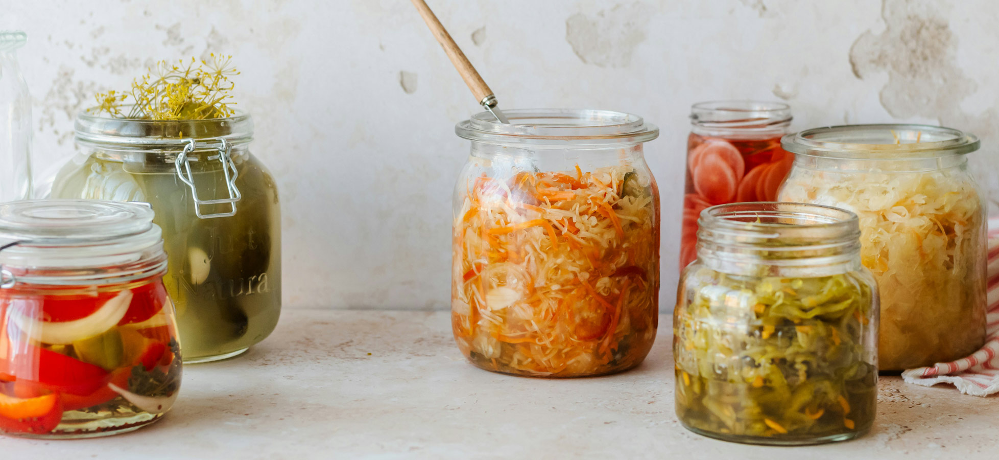 Mehrere Gläser mit fermentiertem Gemüse stehen auf einer hellen Oberfläche. Im Zentrum ein Glas mit orangefarbenem Sauerkraut, daneben Gläser mit unterschiedlichen eingelegten Gemüsearten. Einige Gläser sind transparent, sodass der Inhalt gut sichtbar ist.
