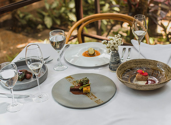 Ein eleganter Tisch ist gedeckt mit verschiedenen Tellergerichten, darunter Desserts und Hauptspeisen, umgeben von Gläsern mit Wasser und Sekt. In der Mitte steht eine kleine Vase mit frischen Blumen. Das Ambiente ist hell und freundlich, mit Pflanzen im Hintergrund.