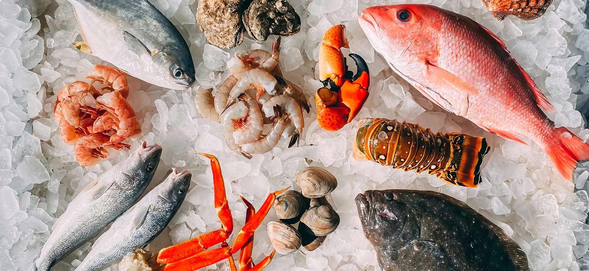 Auf dem Bild sind verschiedene Meeresfrüchte und Fische auf Eis präsentiert. Dazu gehören Garnelen, Langusten, verschiedene Fischarten und Muscheln, die zusammen eine Vielfalt an frischen Meeresprodukten zeigen.