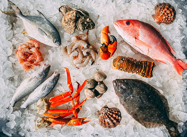 Eine Auswahl an frischen Meeresfrüchten auf Eis. Dazu gehören verschiedene Fischarten, Garnelen, Krabben, Muscheln und Hummer. Die Meeresfrüchte sind ansprechend angeordnet, um Vielfalt und Frische zu präsentieren.