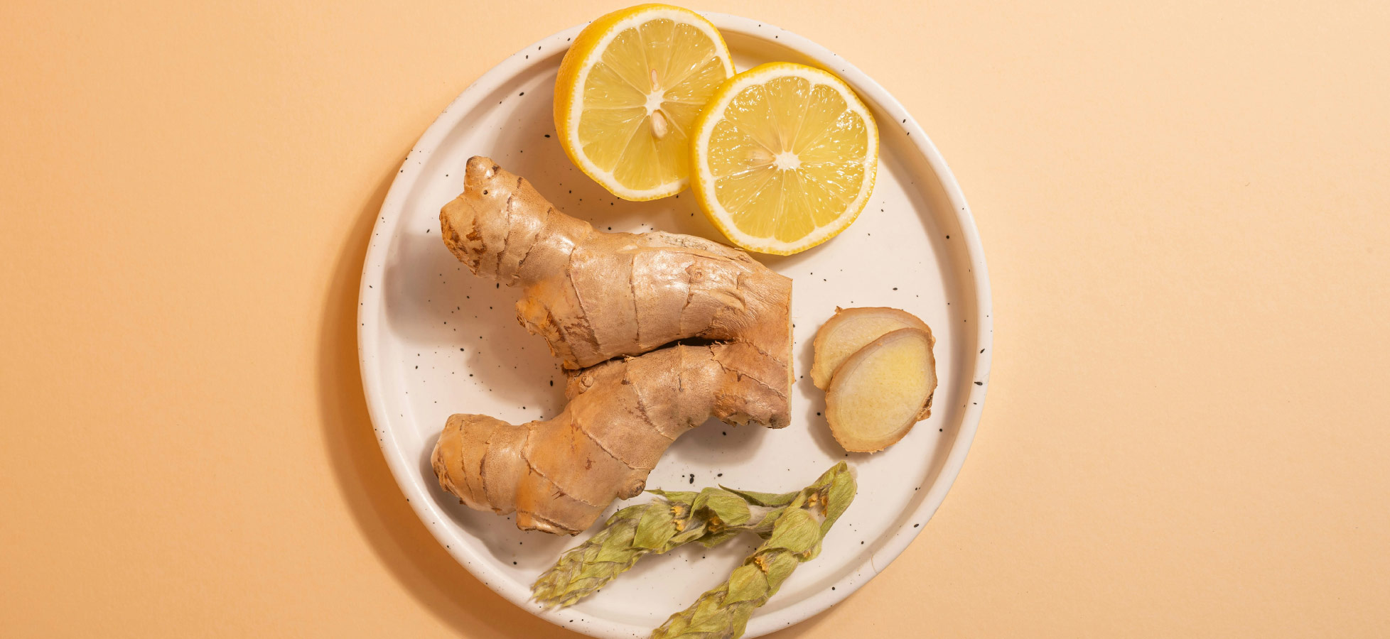 Auf einem weißen Teller liegen frische Ingwerstücke, eine geschnittene Ingwerscheibe sowie zwei halbierte Zitronen. Im Hintergrund ist ein einfarbiger, heller Untergrund zu sehen.