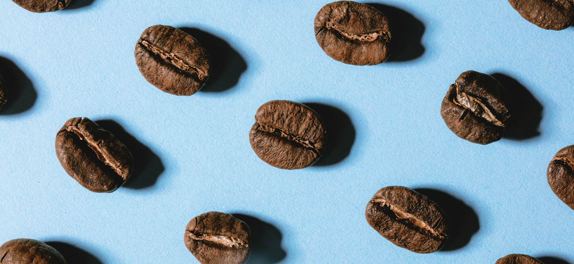 Eine Ansammlung von Kaffeebohnen liegt gleichmäßig auf einem hellblauen Hintergrund verteilt. Die Bohnen sind dunkelbraun und zeigen die charakteristische Risslinie in der Mitte.