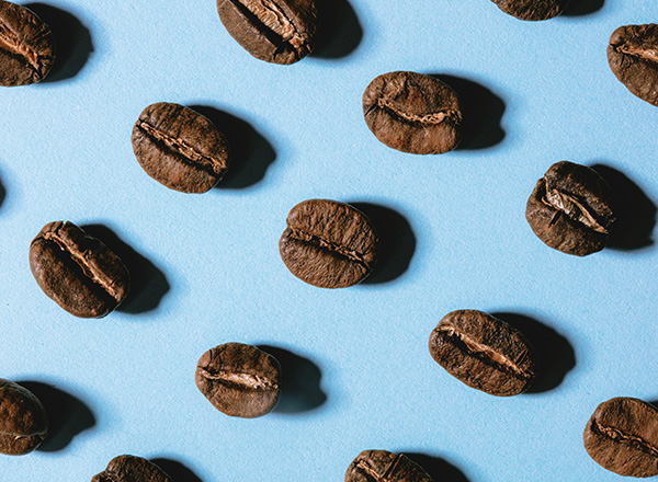 Eine Vielzahl von Kaffeebohnen liegt gleichmäßig auf einem hellblauen Hintergrund verteilt. Die Bohnen sind dunkelbraun und zeigen ihre charakteristischen Einschnitte.