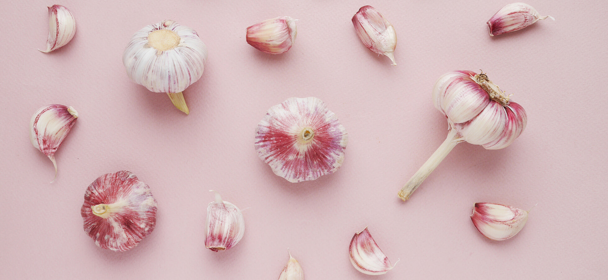 Eine Anordnung von frischem Knoblauch auf einem rosa Hintergrund. Zu sehen sind ganze Knollen sowie einige einzelne Zehen, die eine leicht lila Färbung haben. Die Gestaltung legt den Fokus auf die Textur und die natürliche Farbe des Knoblauchs.