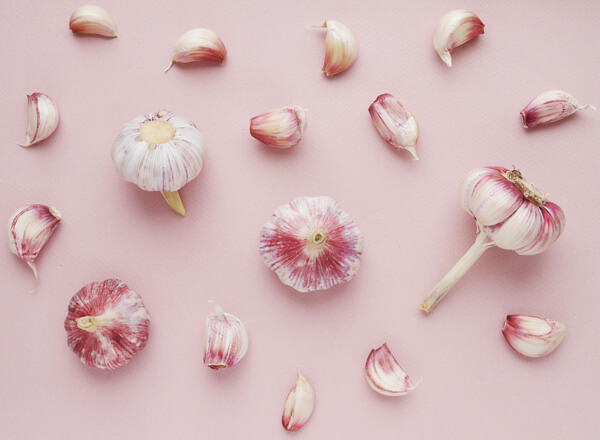 Auf einem rosa Hintergrund liegen mehrere Köpfe und Zehen von Knoblauch. Die Knoblauchköpfe sind in verschiedenen Größen und haben eine rot-weiße Schale. Einige Zehen sind von den Köpfen getrennt und verstreut um sie herum.