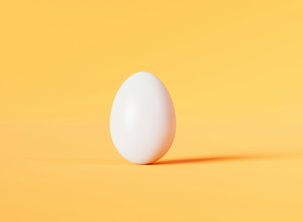 Ein einzelnes weißes Ei steht auf einer orangefarbenen Oberfläche. Das Ei hat eine glatte, glänzende Textur und wirft einen leichten Schatten. Die Farbkombination schafft eine helle und einladende Atmosphäre.