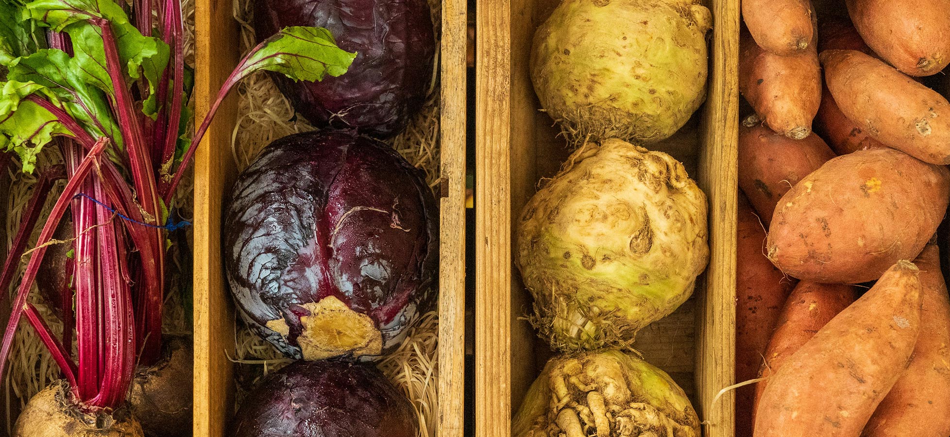 Das Bild zeigt eine Holzbox mit verschiedenen Gemüsesorten. Darin sind rote Rüben, zwei rote Kohlköpfe und mehrere Knollen, darunter Sellerie und Süßkartoffeln. Die Anordnung wirkt frisch und vielfältig, ideal für einen gemütlichen Marktstand.