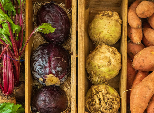 Das Bild zeigt eine Holzbox mit verschiedenen Gemüsesorten. Darin sind rote Rüben, zwei rote Kohlköpfe und mehrere Knollen, darunter Sellerie und Süßkartoffeln. Die Anordnung wirkt frisch und vielfältig, ideal für einen gemütlichen Marktstand.
