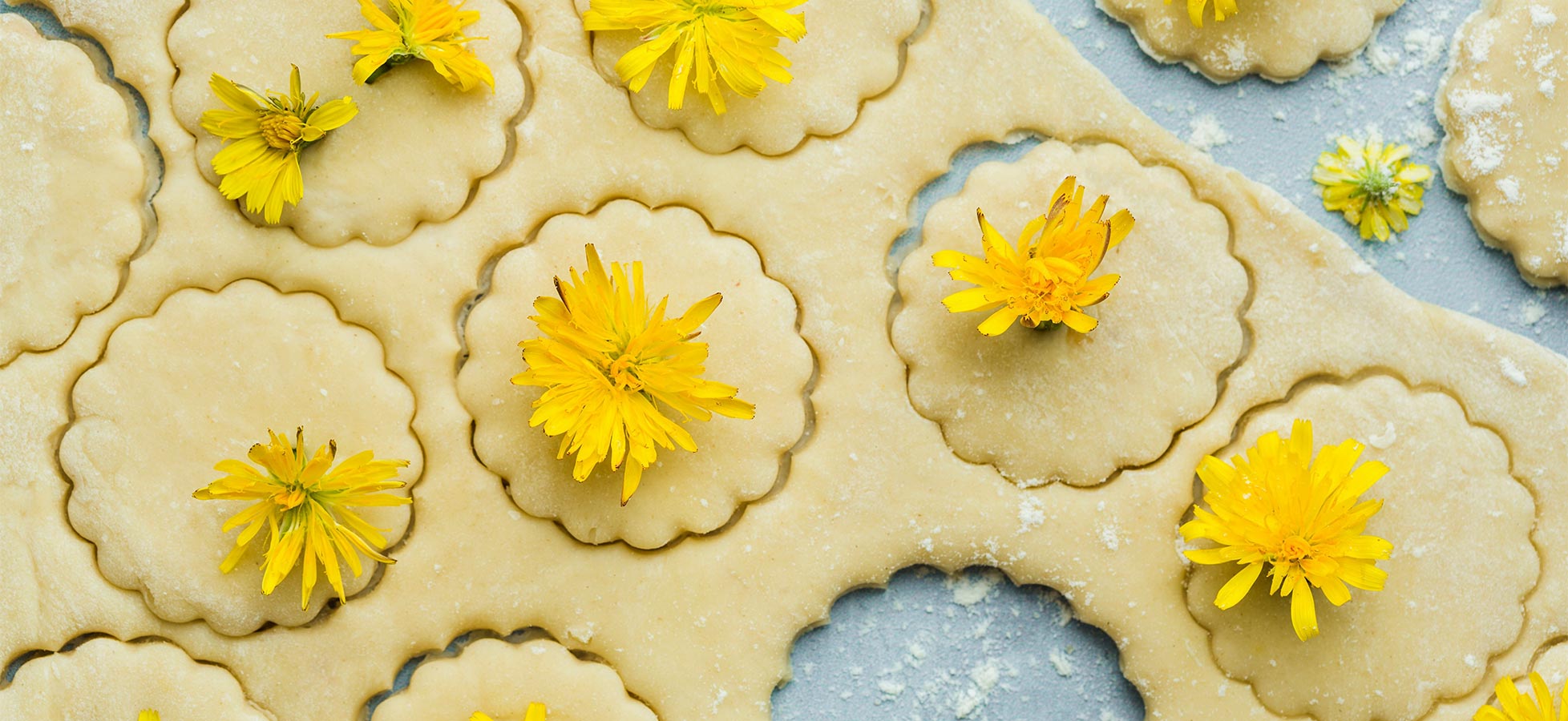 Auf einer mit Mehl bestäubten Fläche liegen Plätzchen aus Teig, die in kreisförmige Formen ausgestochen sind. Einige der Plätzchen sind mit gelben Blüten dekoriert, was einen frischen und kreativen Eindruck vermittelt.