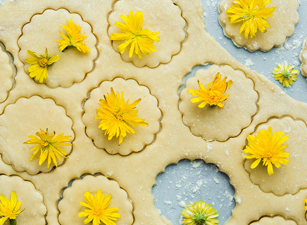 Auf einer mit Mehl bestreuten Fläche liegen ausgestochene Kekse aus Teig, verziert mit gelben Blumen. Die Kekse haben eine gewellte Randform und einige Blumen pro Keks sind sichtbar. Die Szene vermittelt eine fröhliche und kreative Backatmosphäre.
