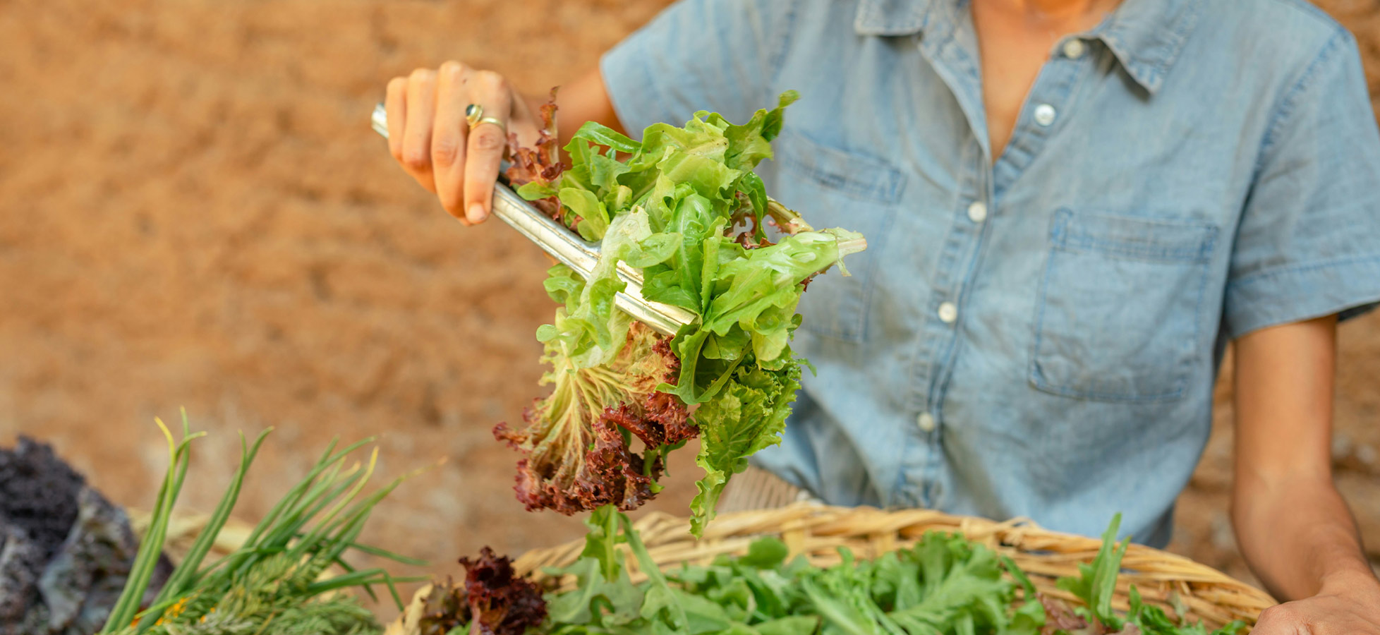 Eine Person hält eine Zange, mit der sie frischen Salat aus einem großen Korb schöpft. Um den Korb herum liegen verschiedene Salatsorten, und die Person trägt ein leichtes, blaues Hemd. Der Hintergrund ist unscharf und zeigt natürliche Texturen.