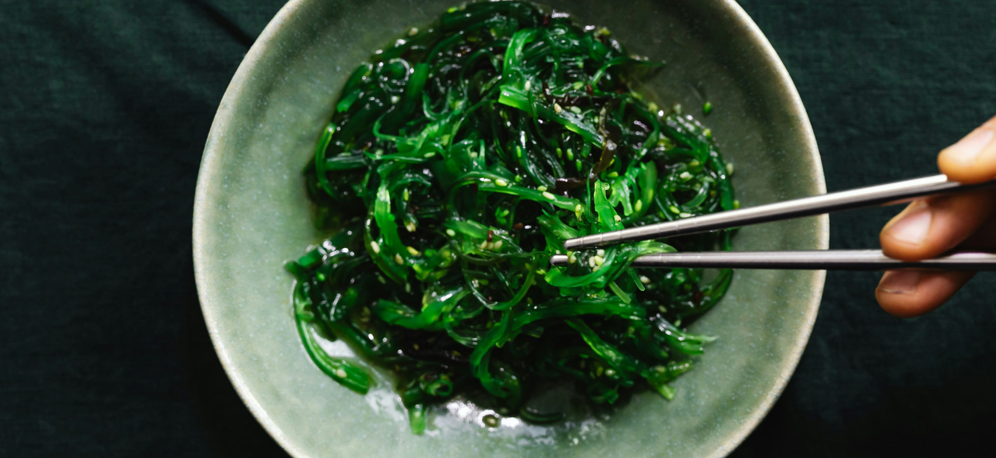 Eine Schale mit grünem Algensalat, der glänzend und frisch aussieht. Zwei Essstäbchen greifen nach dem Salat. Der Hintergrund ist dunkel, was die Farben des Gerichts hervorhebt.