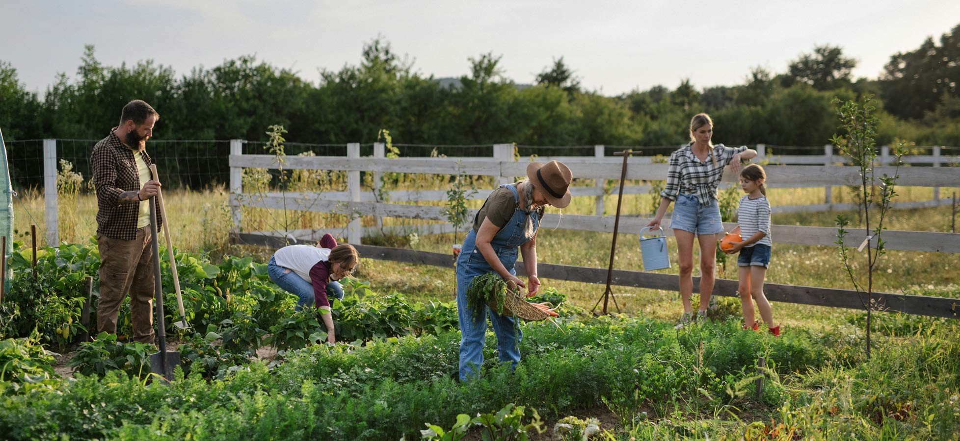 Eine Gruppe von fünf Personen arbeitet gemeinsam im Garten. Menschen pflanzen, ernten und gießen verschiedene Gemüsearten. Um den Garten herum sind Zaun und grüne Bäume sichtbar, bei sonnigem Wetter. Die Stimmung ist familiär und gemeinschaftlich.