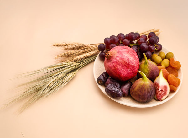 Ein kleiner Bonsai-Baum mit dichten, grünen Blättern steht in einem weißen Topf. Der Stamm hat eine charakteristische, verdickte Wurzelbasis, die dem Baum Stabilität verleiht. Der Hintergrund ist einfarbig und hebt die Pflanze hervor.