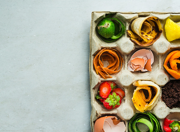 Eine Pappschachtel enthält verschiedene Obst- und Gemüsereste, wie Schalen, Schalen und abgeschnittene Stücke. Die Reste sind bunt und zeigen eine Mischung aus grünem, orangefarbenem, rotem und gelbem Material. Einige Fragmente von Erdbeeren und Karotten sind ebenfalls sichtbar.