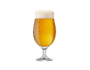 Stielglas mit goldenem Bier und weißer Schaumkrone.