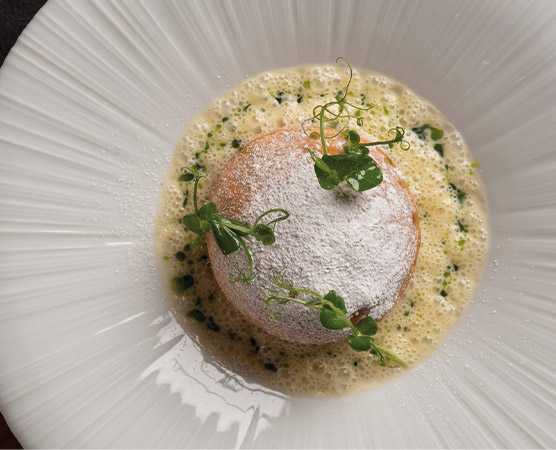 Ein gefüllter Teigkloß, bestäubt mit Puderzucker, liegt auf einer Sauce aus grünen Kräutern und einer cremigen Flüssigkeit. Einige zarte Sprossen sind dekorativ auf dem Kloß angerichtet. Der Teller hat eine elegante weiße Form.