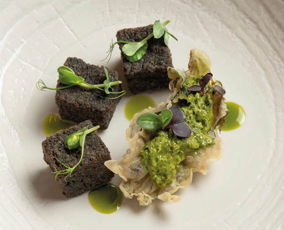 Ein weißer Teller mit vier kleinen, rechteckigen, schwarzen Brotwürfeln, garniert mit frischen Kräutern. In der Mitte befindet sich eine frittierte Teigtasche, gefüllt mit einer grünen Sauce, umgeben von grünen Öltropfen.