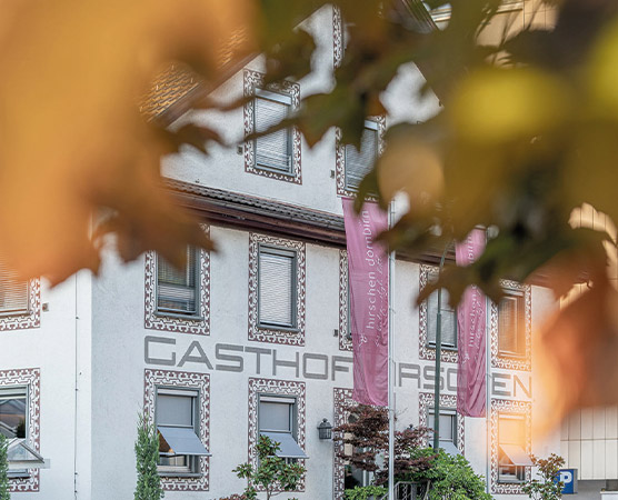 Das Bild zeigt das Gebäude des Gasthofs Irgen, sichtbar durch Blätter einer Pflanze. Die Fassade ist verziert, und mehrere Fenster sind deutlich erkennbar. An der Vorderseite hängen Fahnen mit der Aufschrift des Gasthofs.