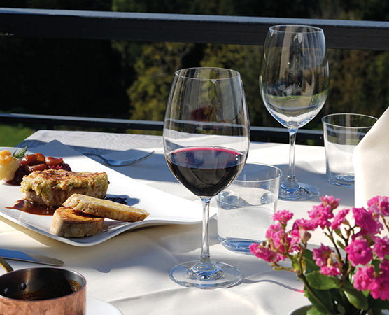 Ein schön gedeckter Tisch mit einem Glas Rotwein und einer Portion Gourmet-Essen auf einem weißen Teller. Im Hintergrund stehen zwei leere Gläser und ein kleiner Blumentopf mit pinken Blumen. Die Aussicht ist grün und einladend.