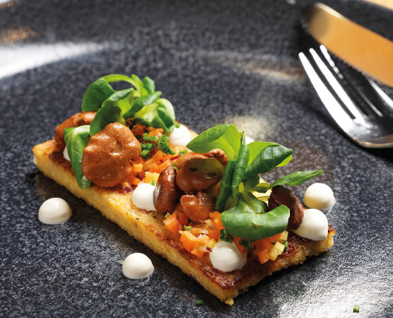 Ein rechteckiger Teller zeigt eine kleine Portion kreativ angerichtetes Gericht. Darauf liegt eine dünne Schicht mit Gemüse, garniert mit frischen Kräutern und kleinen, runden Saucenflecken. Die Hauptzutaten sind Pilze und bunte Karottenstücke, alles auf einer leicht knusprigen Basis.