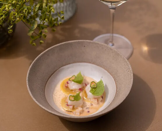 Schale mit drei kunstvoll angerichteten Jakobsmuscheln in heller Sauce, garniert mit kleinen grünen Blättern.