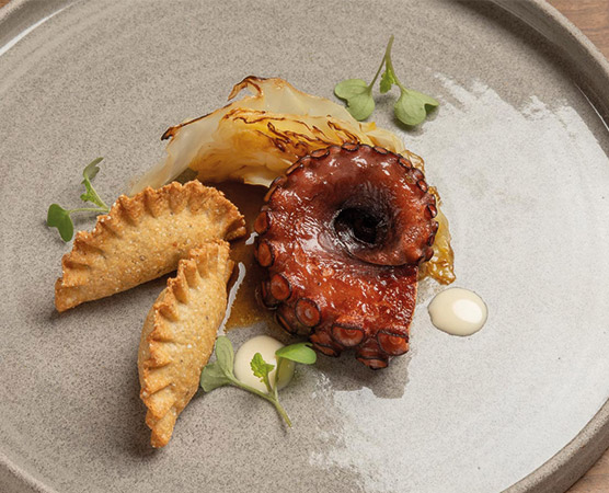 Ein eleganter Teller mit gegrilltem Oktopus im Vordergrund, umgeben von karamellisiertem Kohl und zwei goldbraunen Teigtaschen. Dazu befinden sich ein paar frische Kräuter und ein Klecks Sauce, was das Gericht ansprechend präsentiert.