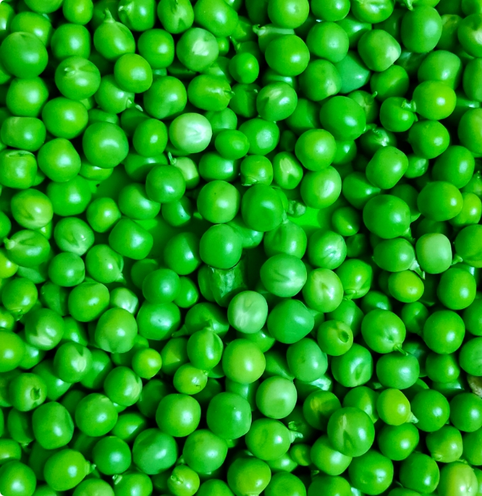 Ein enger Blick auf eine große Menge frischer, grüner Erbsen. Die Erbsen sind rundlich und in verschiedenen Grüntönen gehalten, eng gepackt und übereinanderliegend. Sie vermitteln ein frisches und knackiges Aussehen.