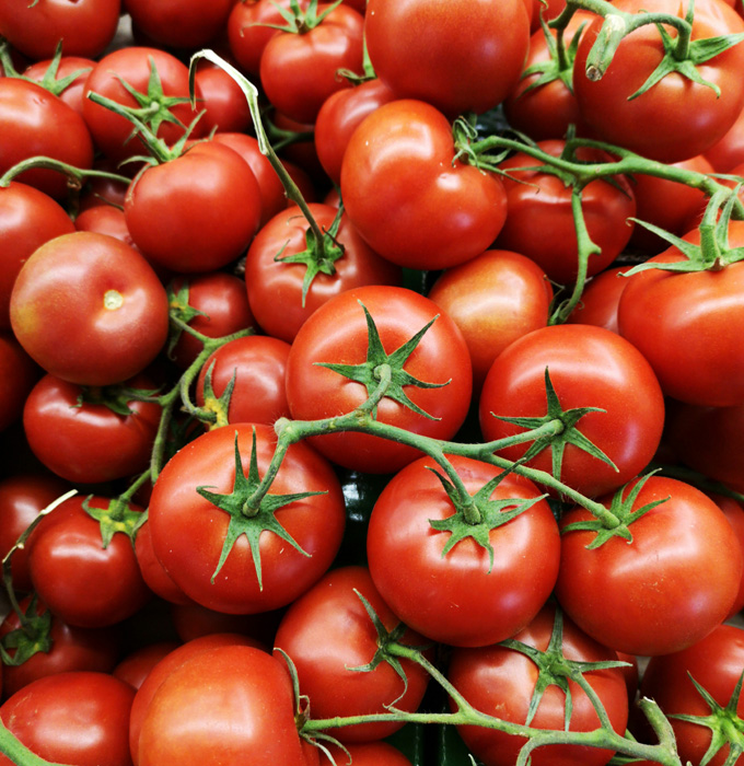 Ein Haufen reifer, roter Tomaten, einige an ihren grünen Stängeln, die frisch und saftig wirken. Die Tomaten sind rund und glänzend, in unterschiedlichen Größen, und ein frisches Gemüseangebot.