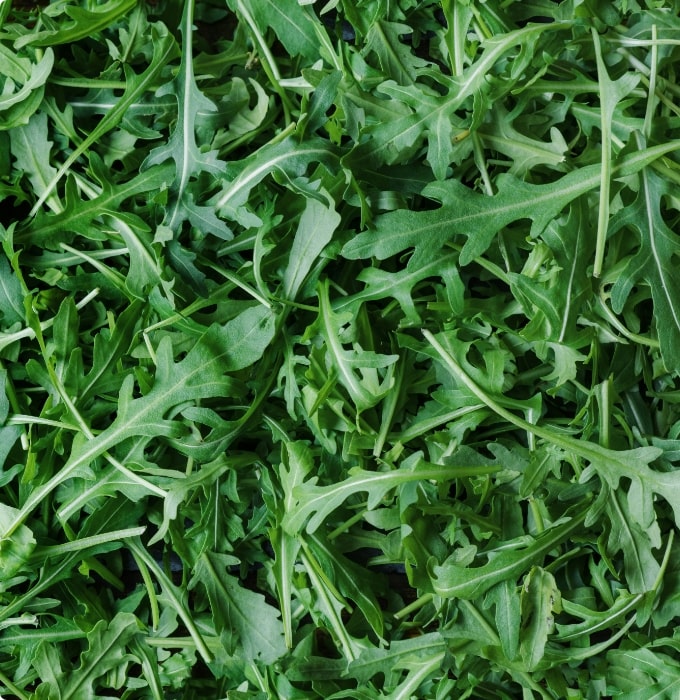 Ein dichter Haufen frischer Rucola-Blätter, leuchtend grün und zart. Die Blätter sind unregelmäßig geformt und variieren in Größe und Textur, was ein frisches, natürliches Aussehen vermittelt. Ideal für Salate oder Gerichte, die eine würzige Note benötigen.