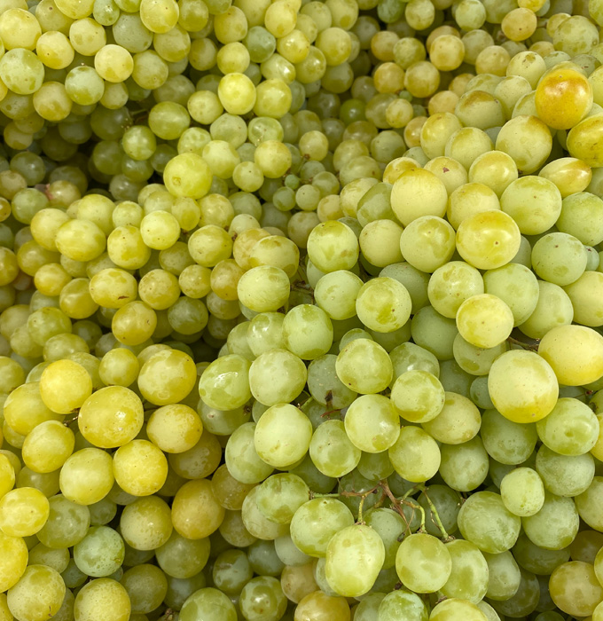 Ein Haufen von grünen Trauben, die in verschiedenen Größen und Formen angeordnet sind. Die Trauben sind frisch und glänzend, mit einer hellgrünen bis gelblichen Farbe. Sie sind dicht gepackt und zeigen eine saftige, appetitliche Textur.