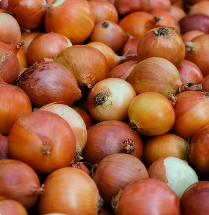 Eine Ansammlung von Zwiebeln in verschiedenen Größen und Farbtönen, vorwiegend orange und gelb. Die Zwiebeln liegen dicht beieinander, einige sind glatt, während andere eine rauere Oberfläche haben. Die Bildunterschrift hebt die Vielfalt der Zwiebeln hervor, die frisch und ungeschält sind.