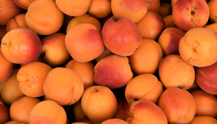 Eine große Menge reifer Aprikosen liegt eng beieinander. Die Früchte haben eine orangefarbene Schale mit rotlichen Einsprenkelungen. Die Aprikosen wirken saftig und frisch, bereit zum Verzehr.