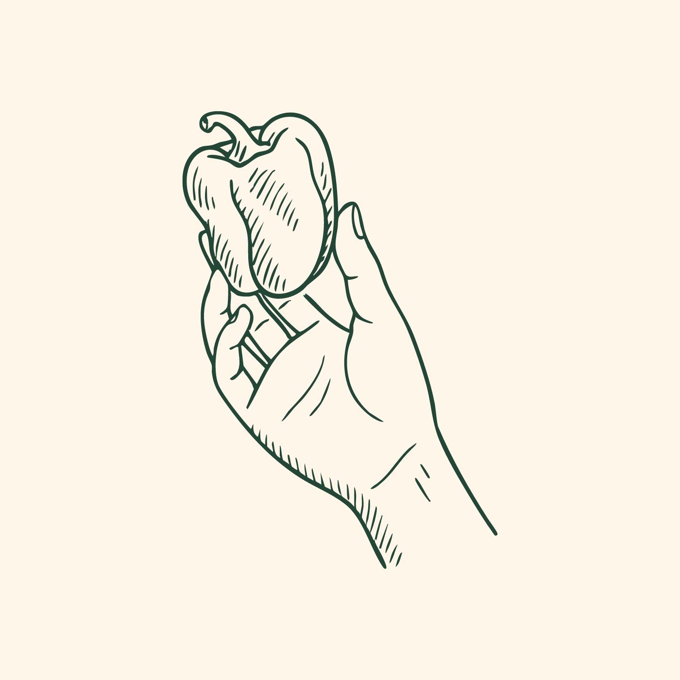 Eine Hand hält eine grüne Paprika. Die Paprika hat eine runde Form und eine glatte Oberfläche. Die Darstellung ist skizzenhaft und zeigt die Hand seitlich, während die Paprika von den Fingern gehalten wird.