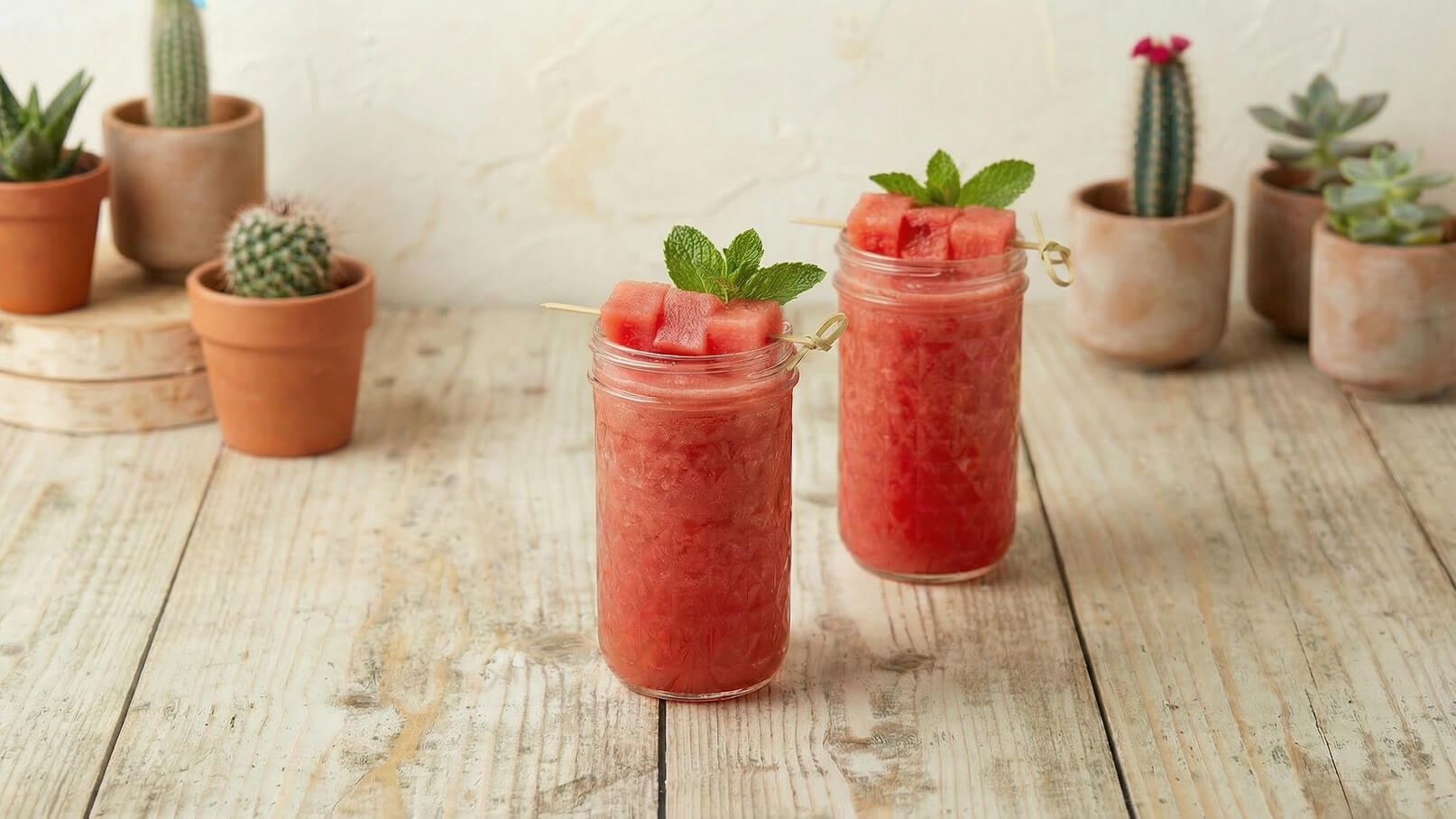 Zwei Gläser Wassermelonen-Drink stehen auf einer Holzoberfläche. Die Getränke sind pink und mit Melonenstücken sowie frischen Minzblättern dekoriert. Im Hintergrund sind Tontöpfe mit kleinen Kakteen und Sukkulenten sichtbar.