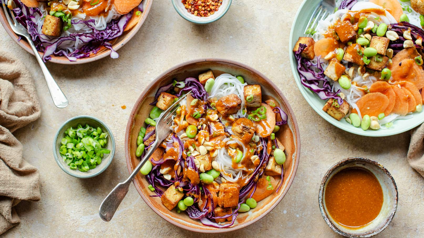 Eine Schüssel mit Reisnudeln, Tofu, rotlila Kohl, Edamame und Karotten, garniert mit grünen Zwiebeln und einer Sauce. Neben der Schüssel befinden sich weitere Zutaten und zwei Löffel.