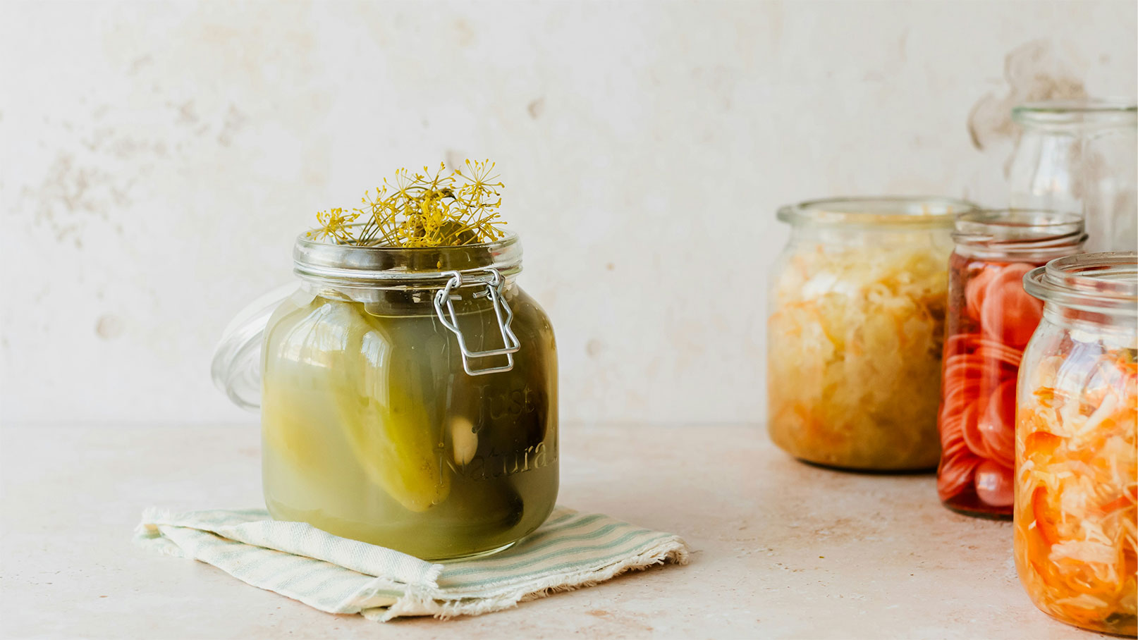 Salzgurken fermentieren