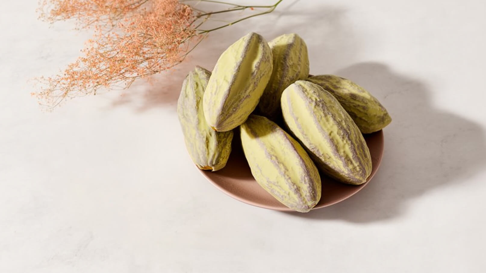 Eine kleine, runde Platte hält mehrere ovale, grün-gestreifte Früchte. Die Obstschalen sind dicht beieinander angeordnet. Im Hintergrund sind zarte, getrocknete Blumen sichtbar, die die Szenerie abrunden.