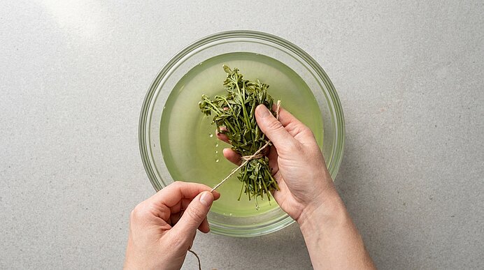 Zwei Hände heben ein gebündeltes Straußchen Waldmeister aus einer Glasschüssel mit hellem Weinansatz.