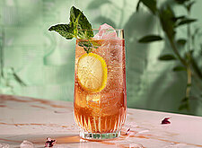 Image of Almdudler Spritz