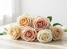 Image of Kandierte Rosen