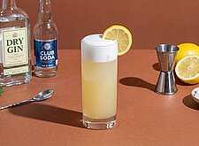 Image of Gin Fizz