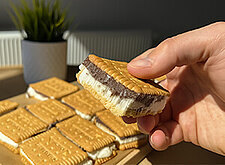 Image of Protein Eis Sandwich