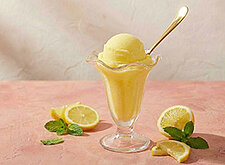 Image of Zitronen Buttermilch Sorbet