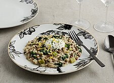 Image of Linsen Risotto mit Mangold und Schnittlauch Sauerrahm